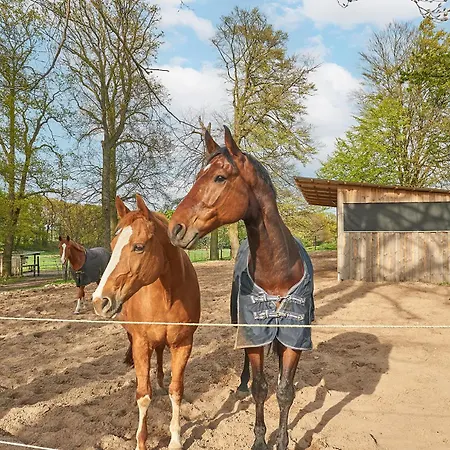 Backhus Nordkampen *