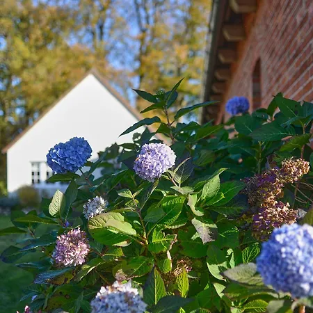 Backhus Nordkampen Holiday home