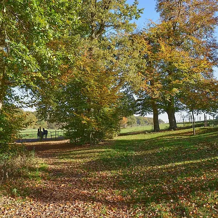 Tatil Evi Backhus Nordkampen