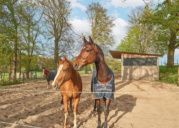 Backhus Nordkampen *